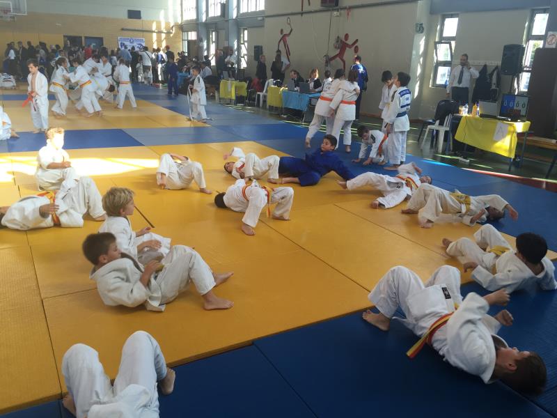 Εσωτερικό τουρνουά ΑΟΝΑ judo